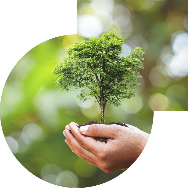 关怀人类、文化、环境与社会